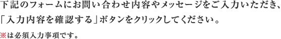 下記のフォームにご入力いただき、「入力内容を確認する」ボタンをクリックしてください。※は必須入力事項です。